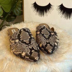 Steve Madden Flavor Natural Snake Print Loafer Slides!